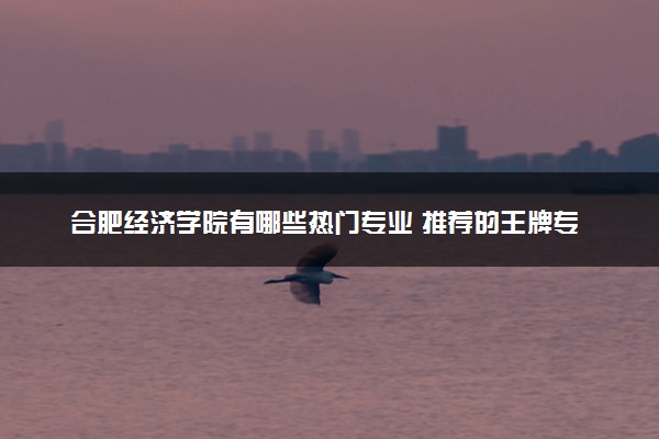 合肥经济学院有哪些热门专业 推荐的王牌专业