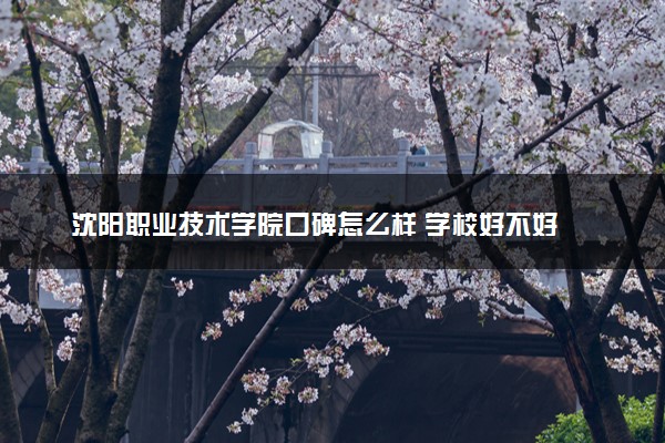 沈阳职业技术学院口碑怎么样 学校好不好