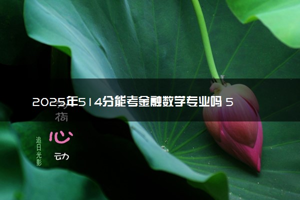 2025年514分能考金融数学专业吗 514分金融数学专业大学推荐