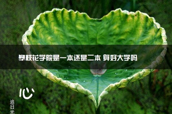 攀枝花学院是一本还是二本 算好大学吗
