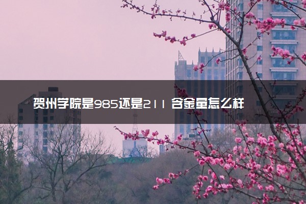 贺州学院是985还是211 含金量怎么样