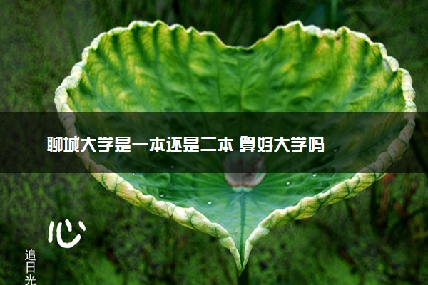 聊城大学是一本还是二本 算好大学吗