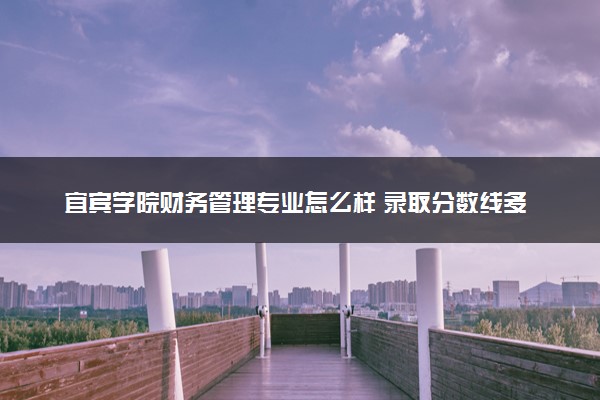 宜宾学院财务管理专业怎么样 录取分数线多少