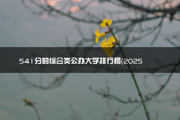 541分的综合类公办大学排行榜（2025考生参考)