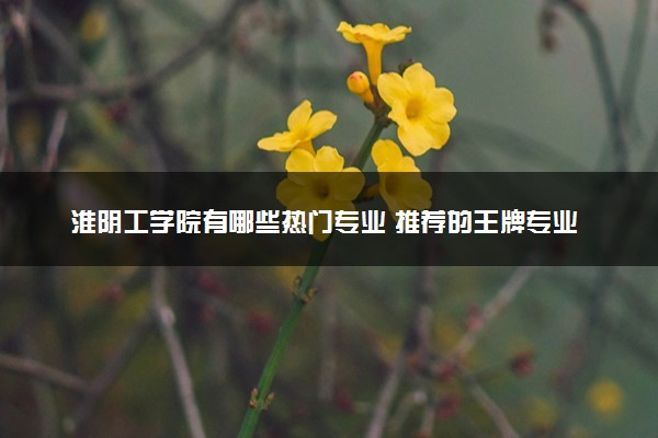 淮阴工学院有哪些热门专业 推荐的王牌专业