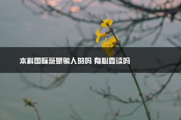 本科国际班是骗人的吗 有必要读吗
