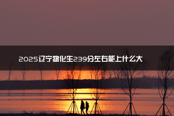 2025辽宁物化生239分左右能上什么大学 可以报考的院校名单