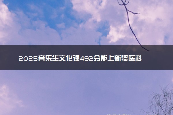2025音乐生文化课492分能上新疆医科大学吗