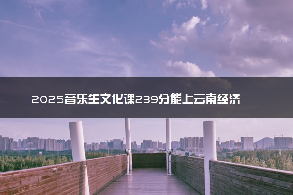 2025音乐生文化课239分能上云南经济管理学院吗