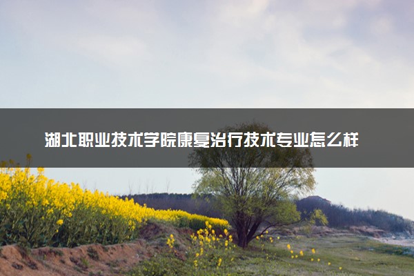 湖北职业技术学院康复治疗技术专业怎么样 录取分数线多少