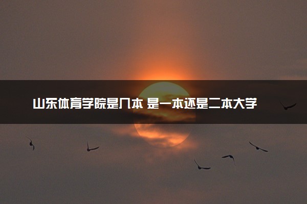 山东体育学院是几本 是一本还是二本大学