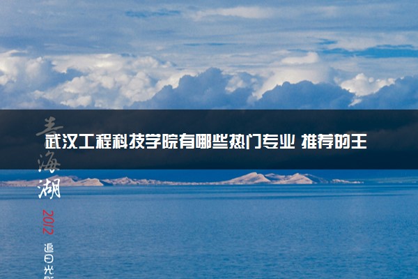 武汉工程科技学院有哪些热门专业 推荐的王牌专业