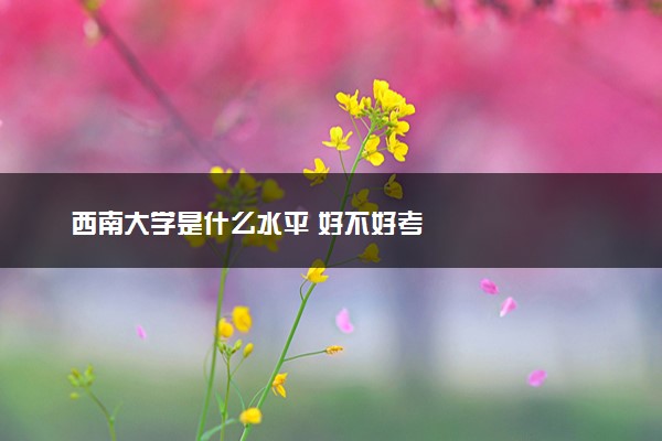 西南大学是什么水平 好不好考