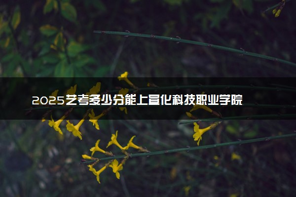 2025艺考多少分能上宣化科技职业学院 最低分数线是多少
