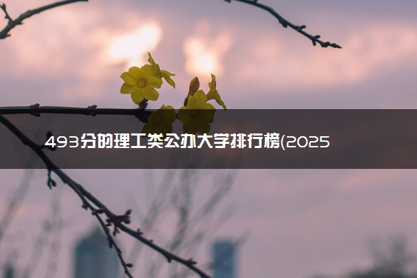 493分的理工类公办大学排行榜（2025考生参考)
