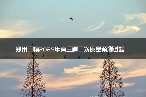 郑州二模2025年高三第二次质量预测试题及答案汇总