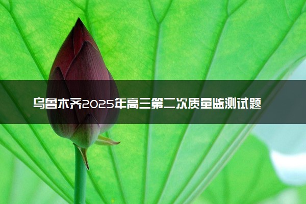 乌鲁木齐2025年高三第二次质量监测试题及答案汇总
