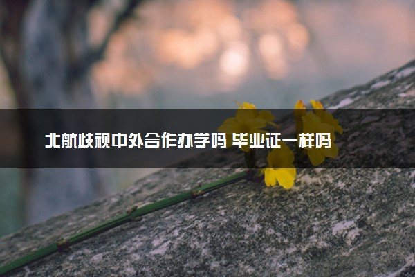 北航歧视中外合作办学吗 毕业证一样吗
