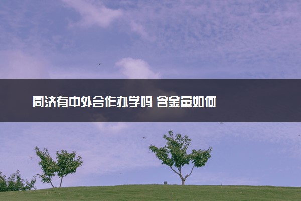 同济有中外合作办学吗 含金量如何