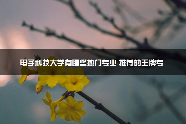 电子科技大学有哪些热门专业 推荐的王牌专业