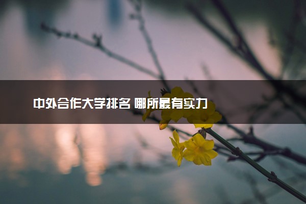 中外合作大学排名 哪所最有实力