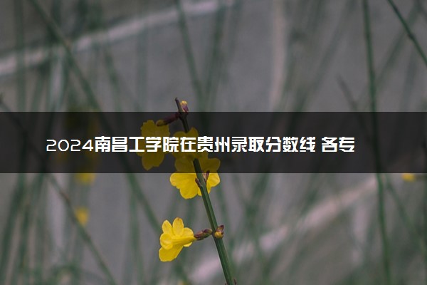 2024南昌工学院在贵州录取分数线 各专业分数及位次
