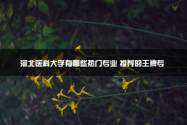 河北医科大学有哪些热门专业 推荐的王牌专业