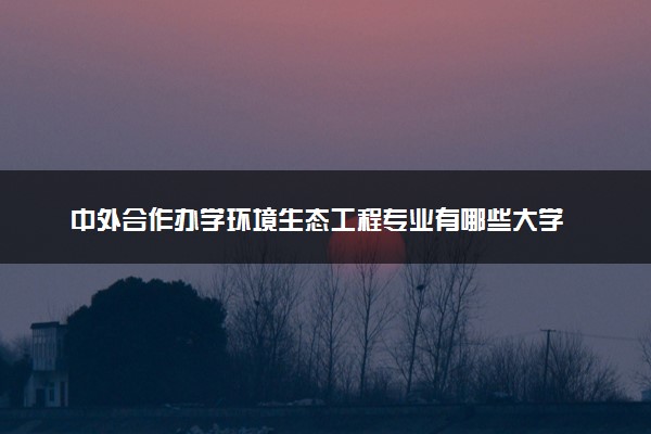 中外合作办学环境生态工程专业有哪些大学 就业前景怎么样