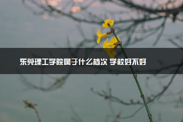 东莞理工学院属于什么档次 学校好不好
