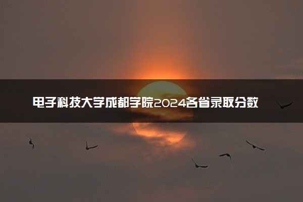 电子科技大学成都学院2024各省录取分数线及最低位次是多少