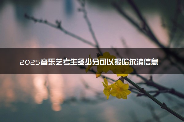 2025音乐艺考生多少分可以报哈尔滨信息工程学院