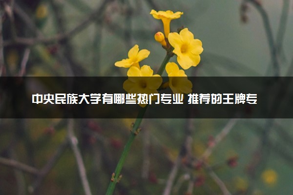 中央民族大学有哪些热门专业 推荐的王牌专业