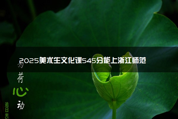 2025美术生文化课545分能上浙江师范大学吗