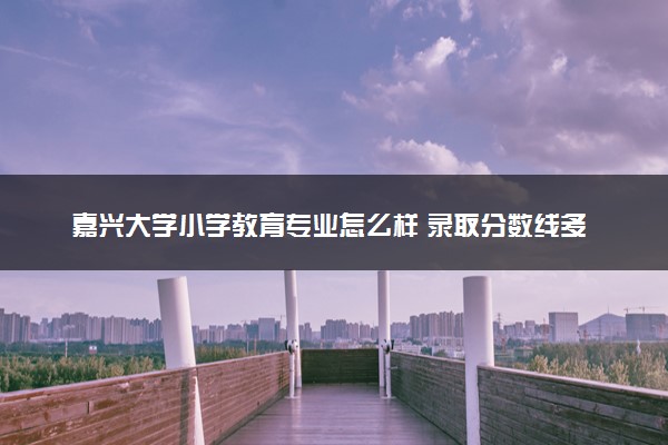 嘉兴大学小学教育专业怎么样 录取分数线多少