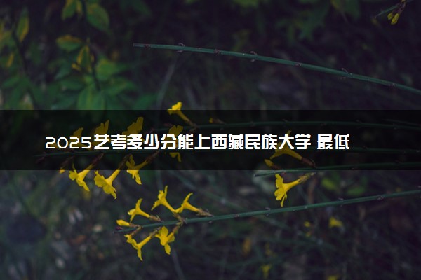 2025艺考多少分能上西藏民族大学 最低分数线是多少