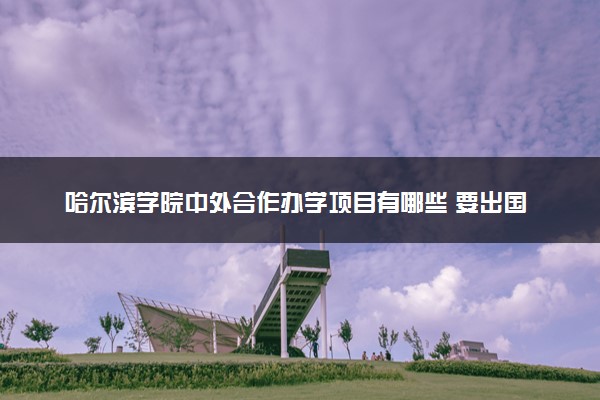 哈尔滨学院中外合作办学项目有哪些 要出国吗