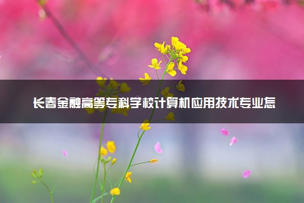长春金融高等专科学校计算机应用技术专业怎么样 录取分数线多少
