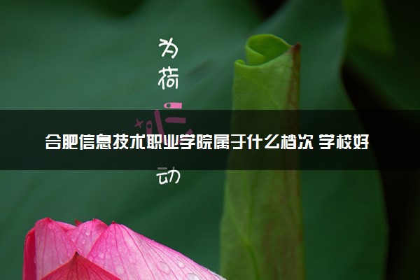 合肥信息技术职业学院属于什么档次 学校好不好