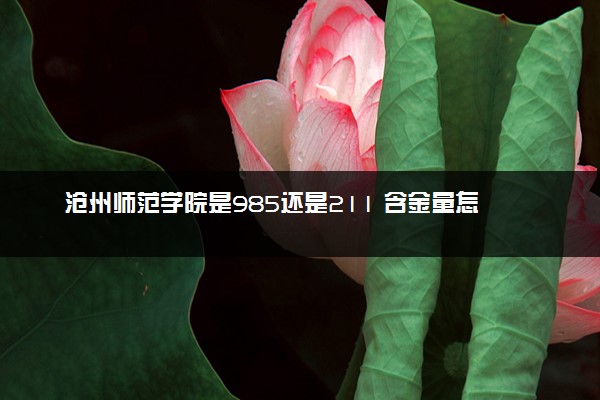 沧州师范学院是985还是211 含金量怎么样
