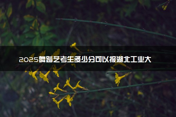 2025舞蹈艺考生多少分可以报湖北工业大学