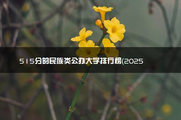 515分的民族类公办大学排行榜（2025考生参考)