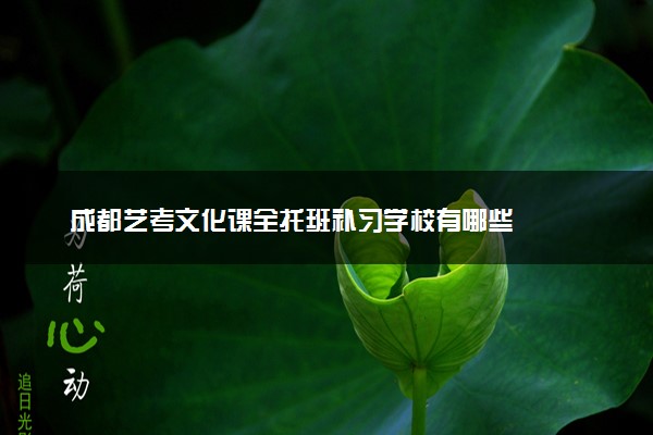 成都艺考文化课全托班补习学校有哪些