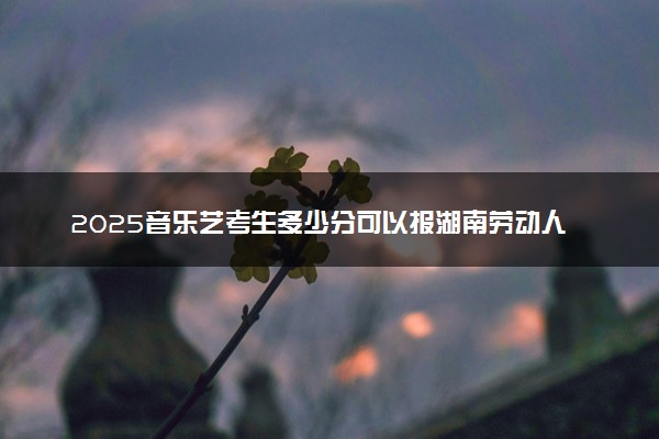 2025音乐艺考生多少分可以报湖南劳动人事职业学院