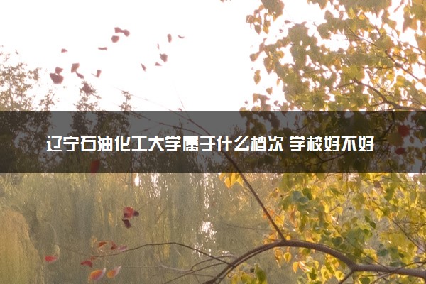 辽宁石油化工大学属于什么档次 学校好不好