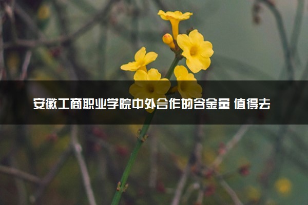 安徽工商职业学院中外合作的含金量 值得去读吗