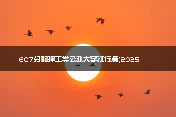 607分的理工类公办大学排行榜（2025考生参考)