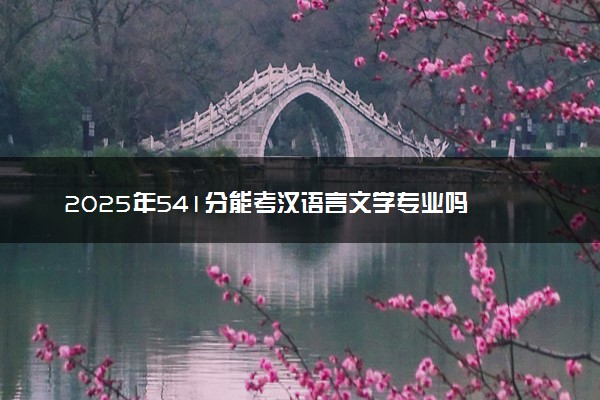2025年541分能考汉语言文学专业吗 541分汉语言文学专业大学推荐