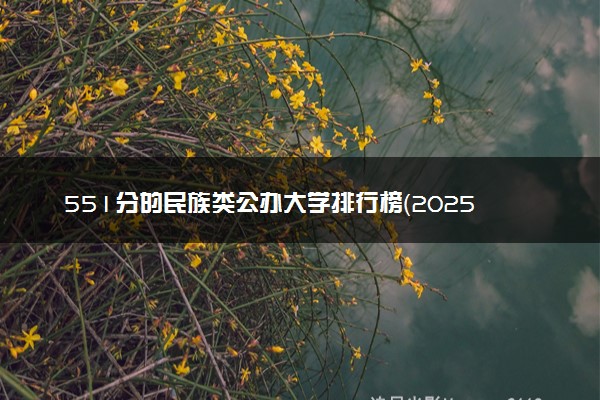 551分的民族类公办大学排行榜（2025考生参考)