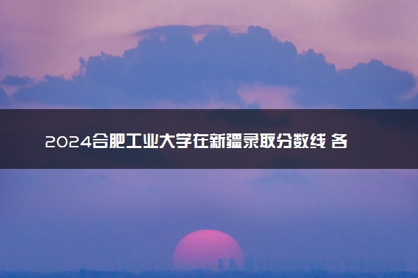 2024合肥工业大学在新疆录取分数线 各专业分数及位次