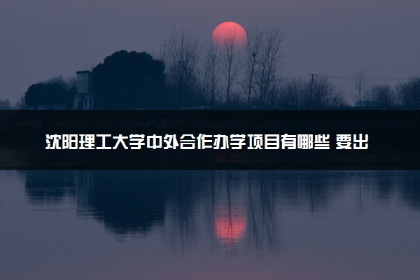 沈阳理工大学中外合作办学项目有哪些 要出国吗